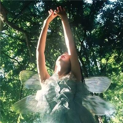 婚词离曲第三季