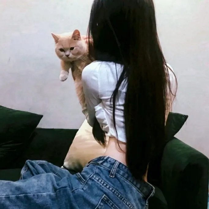好像一条狗