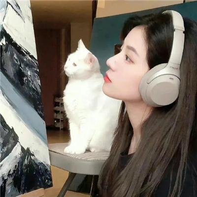 我不是潘金莲